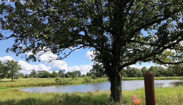Pond at Skylight Ranch